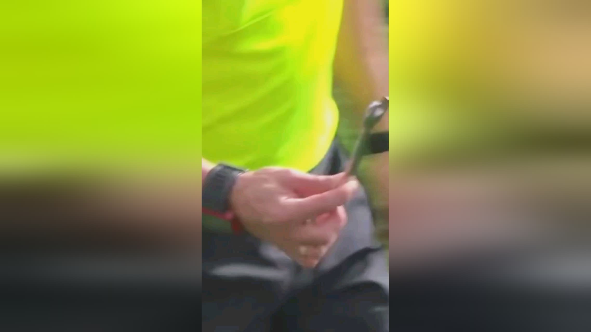 定了坚